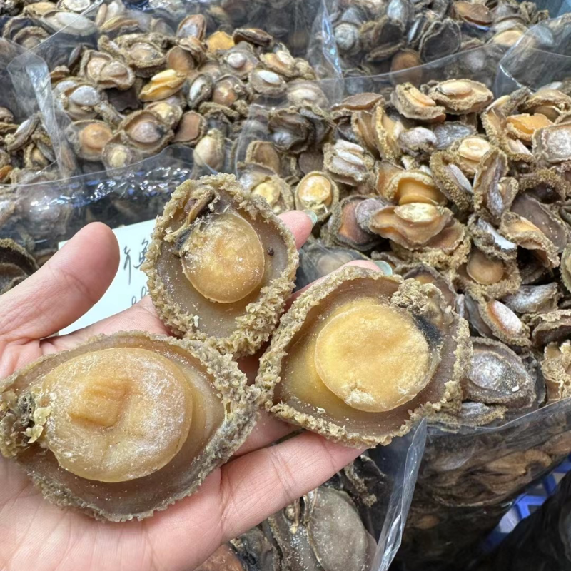 实惠南非干鲍，全规格鲍鱼价格实惠欢迎合作
