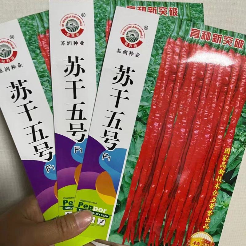 苏干五号青红两用，鸡肠椒品种杂交种子