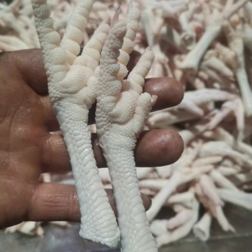 蛋鸡爪真正的蛋鸡爪全部现货工厂直发全新货