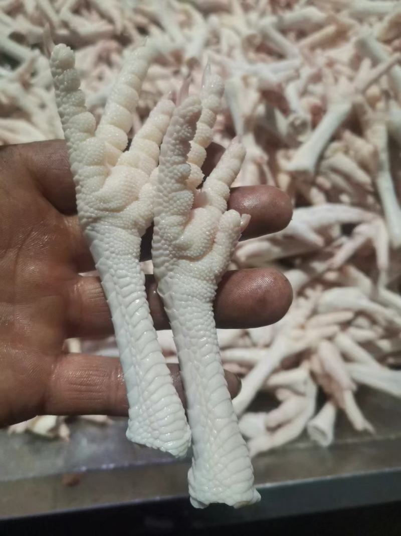 蛋鸡爪真正的蛋鸡爪全部现货工厂直发全新货