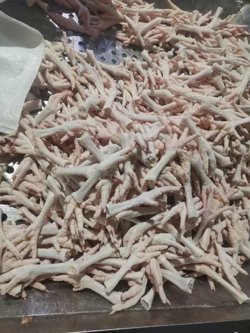 蛋鸡爪真正的蛋鸡爪全部现货工厂直发全新货