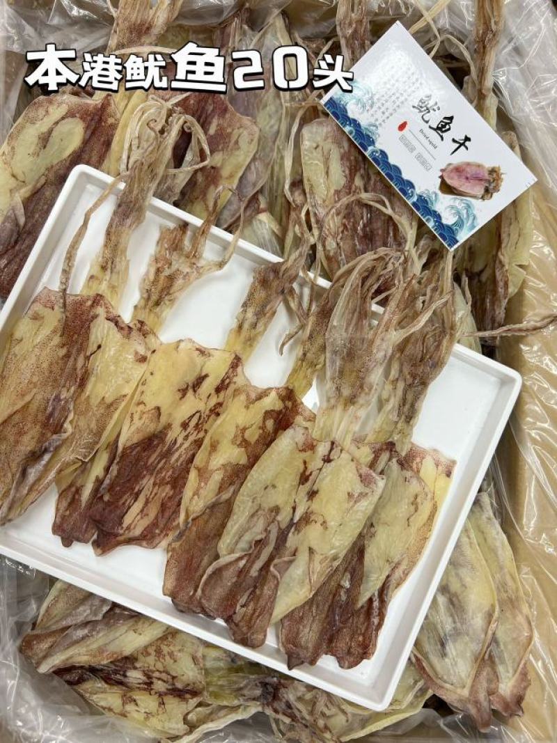本港鱿鱼20头一斤干品