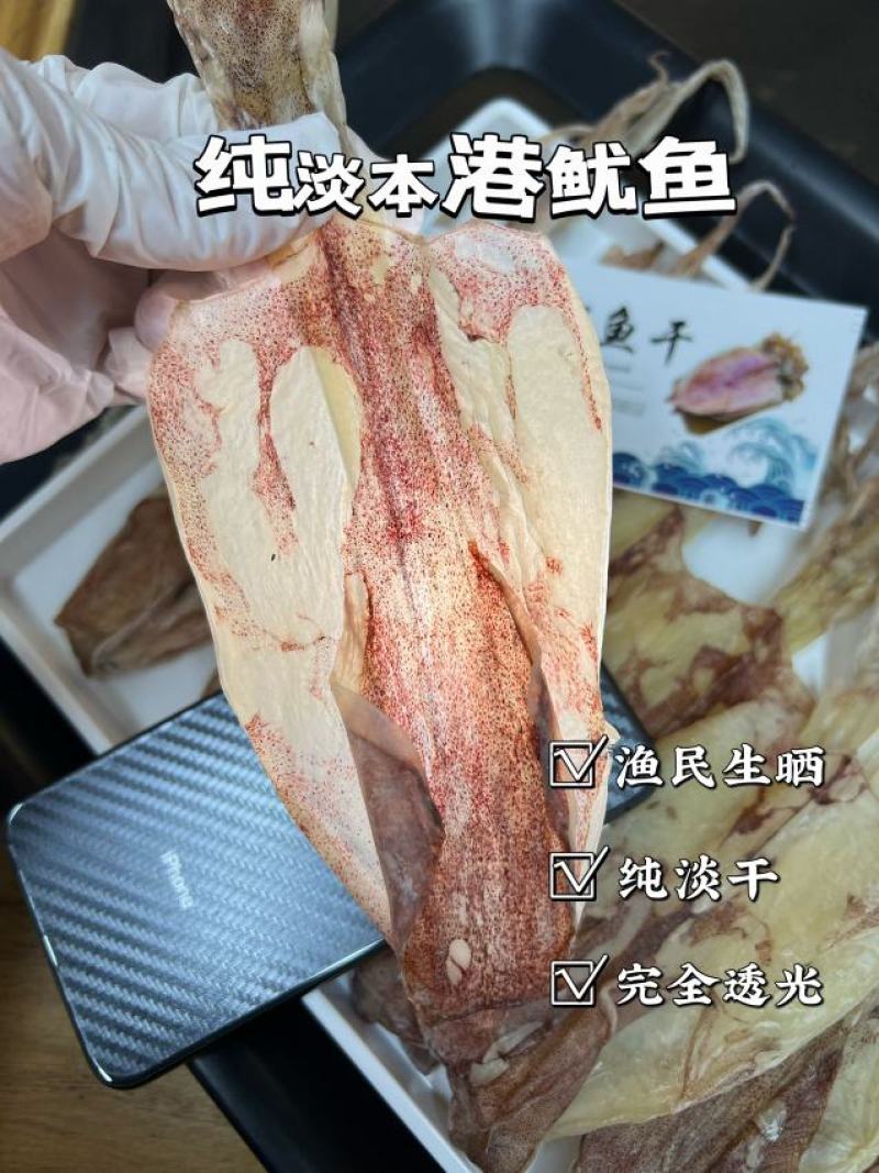 本港鱿鱼20头一斤干品