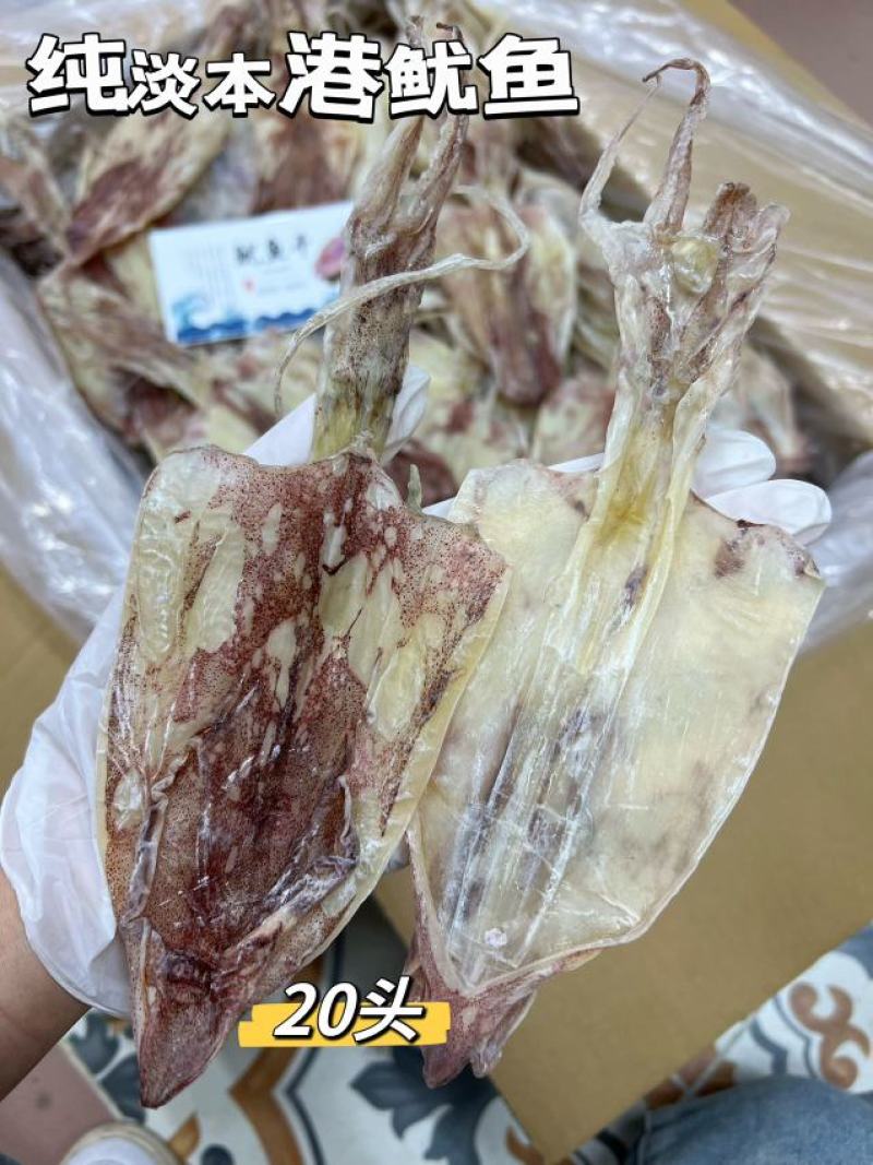 本港鱿鱼20头一斤干品