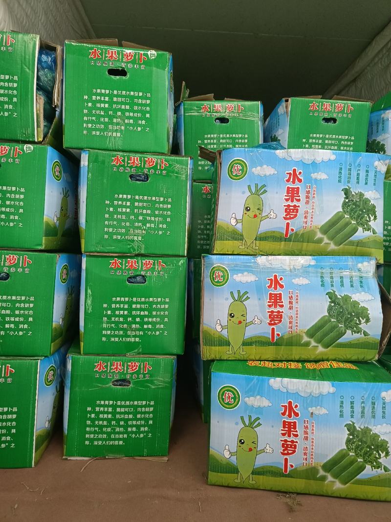 水果萝卜绿皮绿心口感很好