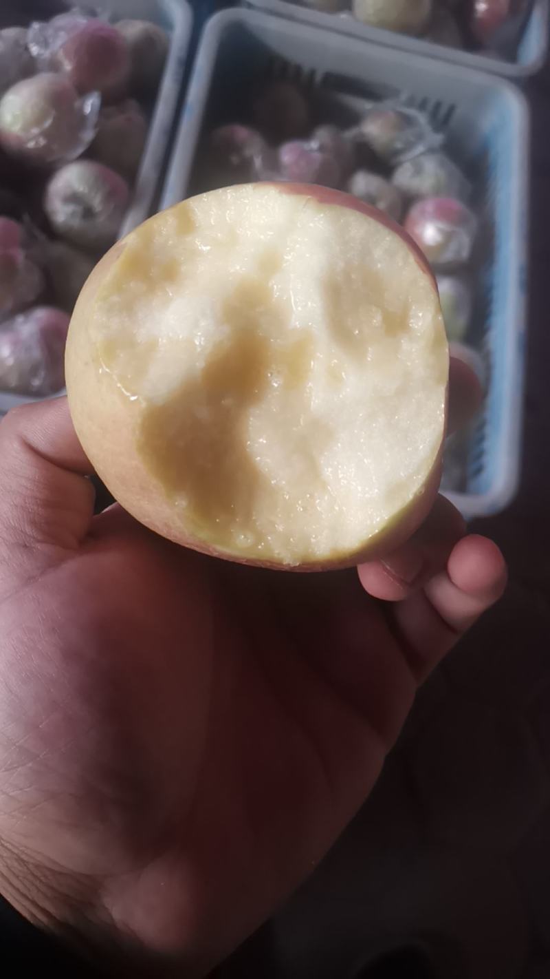 大量供应膜袋红富士苹果产地大量现货