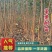 精品苹果苗苹果树苗红富士苹果苗诚信经营价格低
