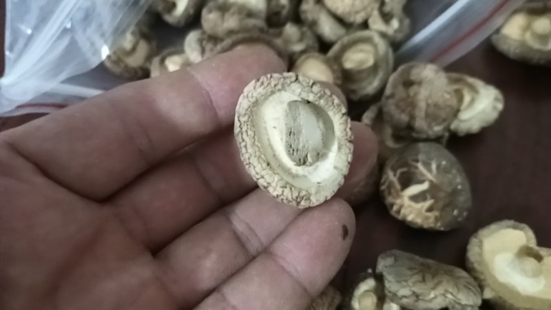 河南泌阳干香菇大小厚薄都有规格全精挑细选香味浓郁干度好无杂质