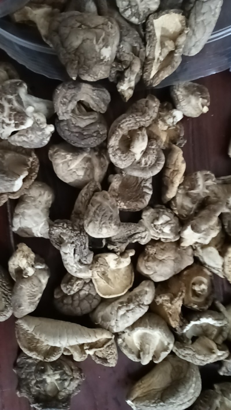 河南泌阳干香菇大小厚薄都有规格全精挑细选香味浓郁干度好无杂质