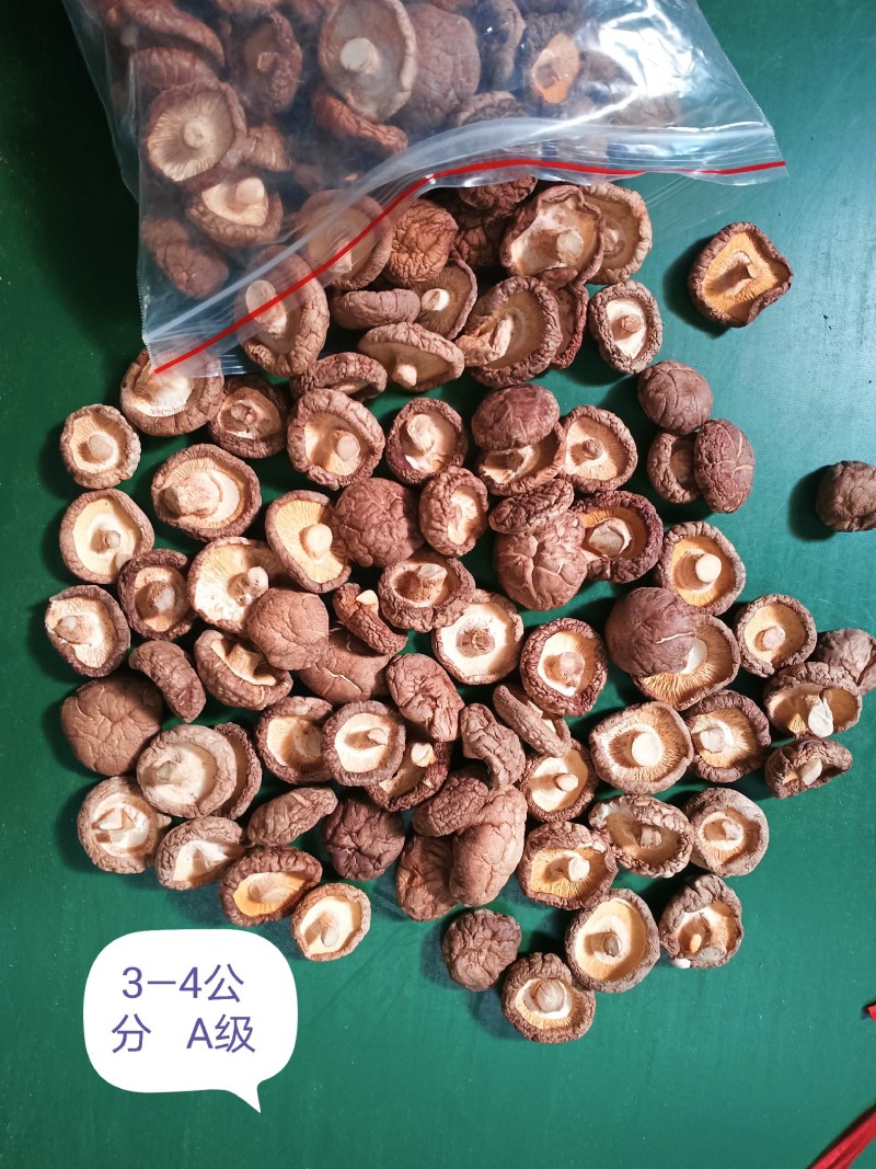 河南泌阳干香菇大小厚薄都有规格全精挑细选香味浓郁干度好无杂质