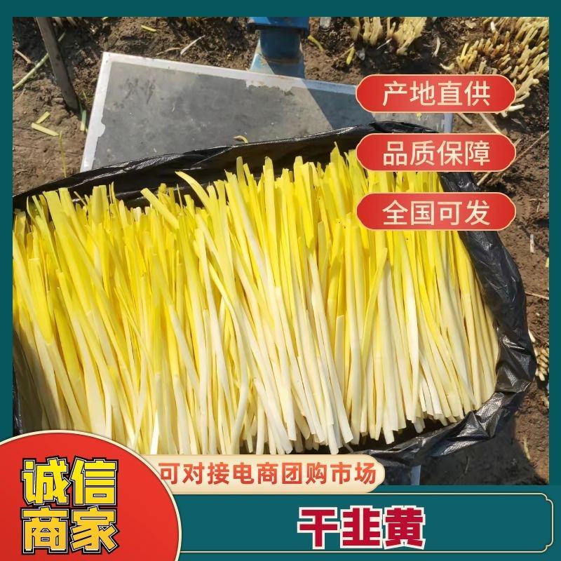 短韭牙