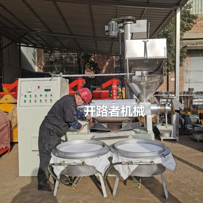 全自动菜籽花生大豆榨油机大型油坊商用螺旋压油机油葵核桃炸