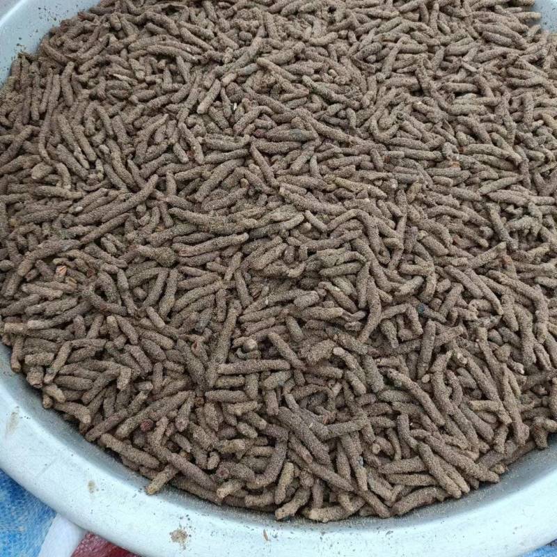 新鲜蚂蚱卵大量出售