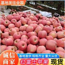 红富士苹果辽宁苹果现货供应规格齐全随到随装全国