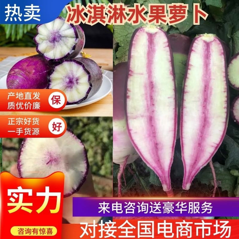 山东潍坊冰淇淋水果萝卜花萝卜价格便宜量大从优万亩基地