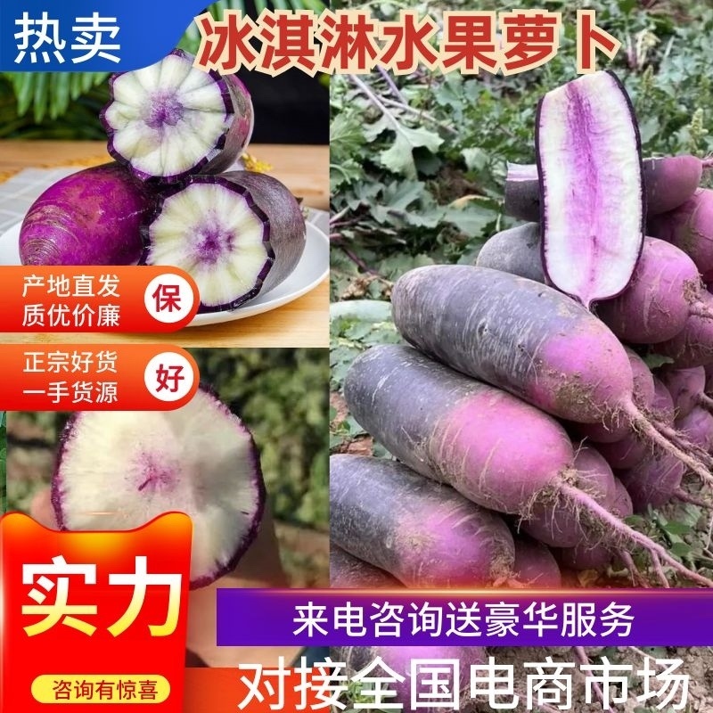 山东潍坊冰淇淋水果萝卜花萝卜价格便宜量大从优万亩基地