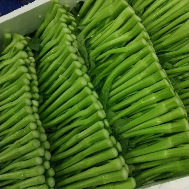 广东菜心亏本大甩卖