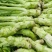 棒菜四川精品棒菜，新鲜供应，电商，平台，超市