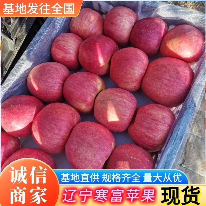 寒富平果辽宁苹果现货供应规格齐全随到随装可全国代发