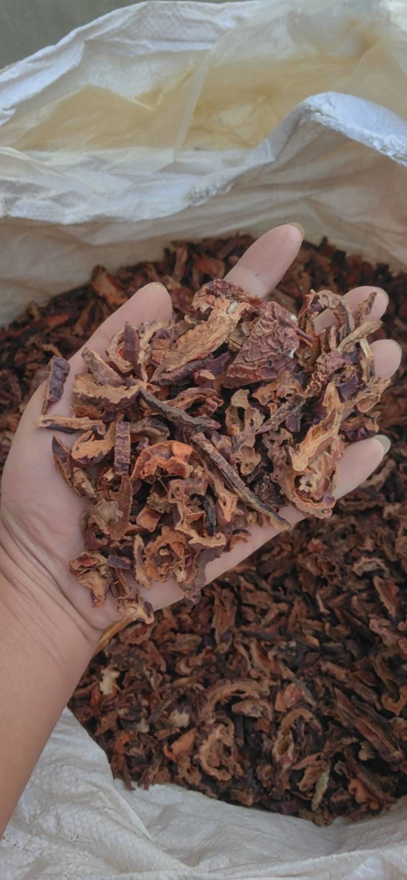 山东菏泽皱木瓜木瓜，中药材批发零售，欢迎联系