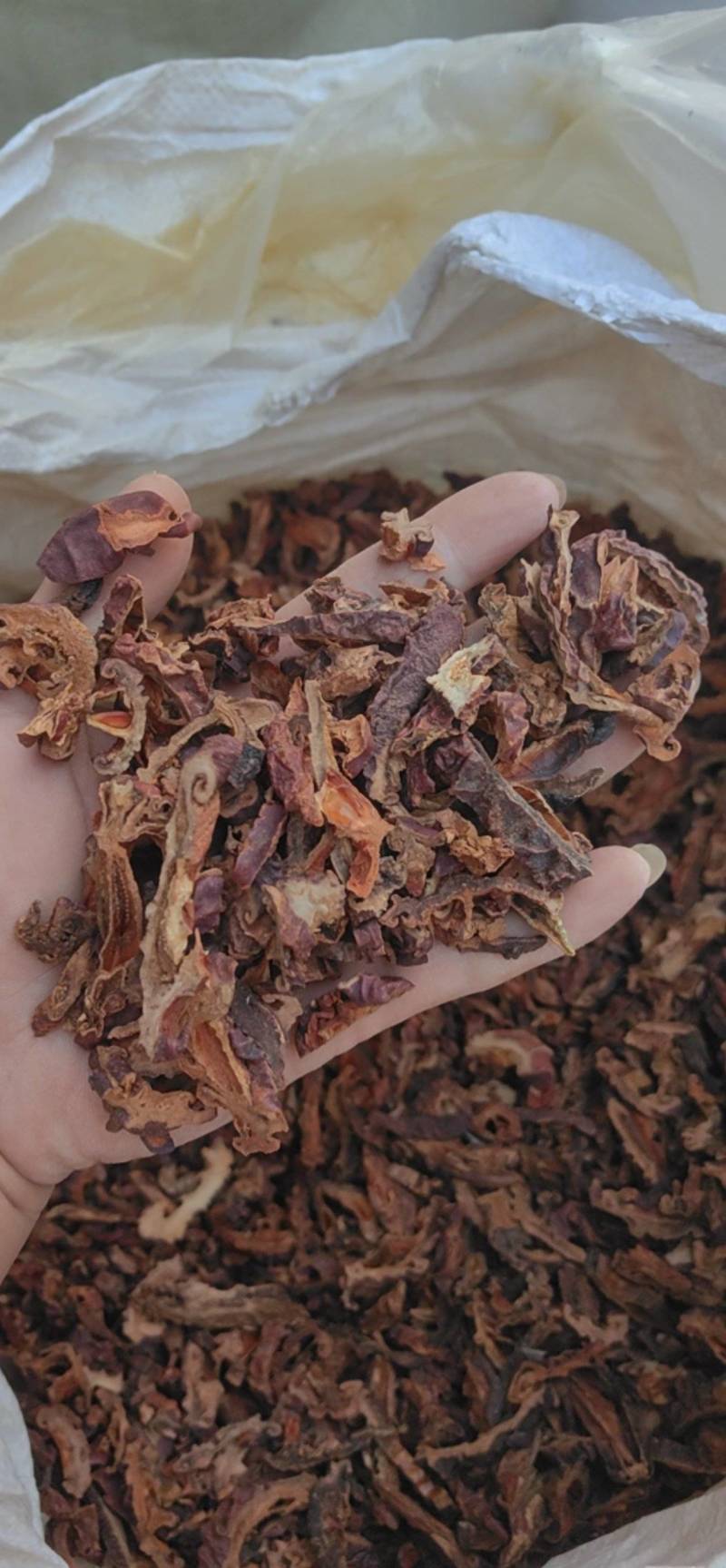 山东菏泽皱木瓜木瓜，中药材批发零售，欢迎联系