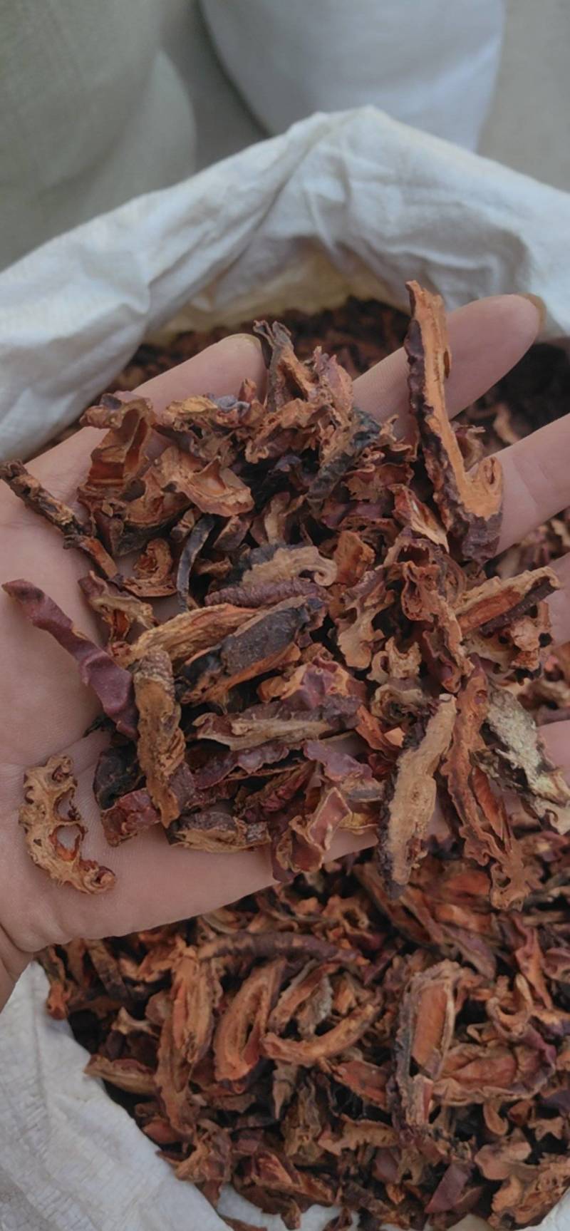 山东菏泽皱木瓜木瓜，中药材批发零售，欢迎联系