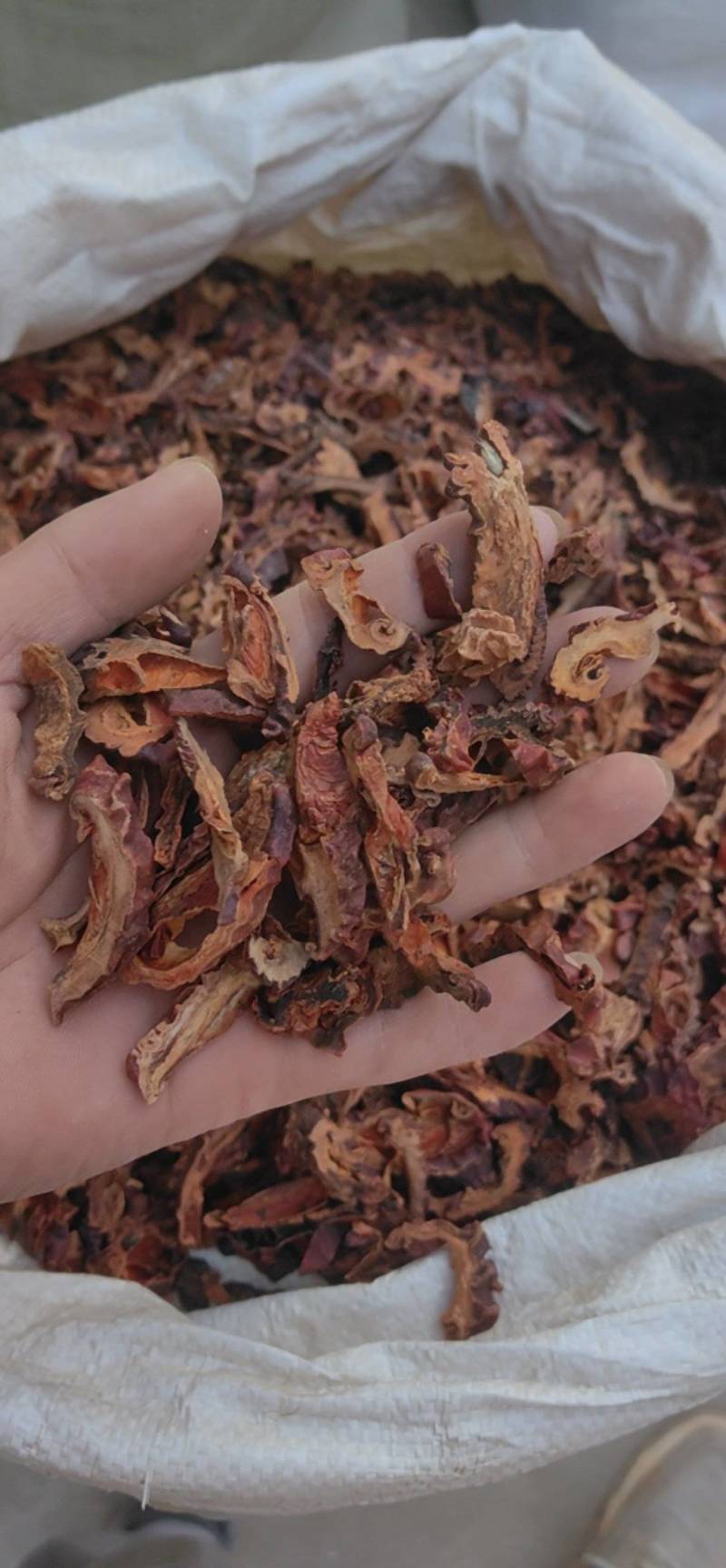 山东菏泽皱木瓜木瓜，中药材批发零售，欢迎联系