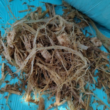 大量供应青储饲料，黄储饲料，玉米秸秆等，都是产地