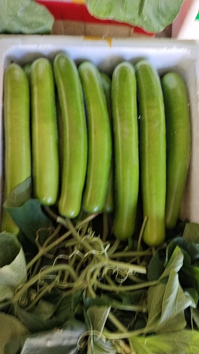 大量新货上市