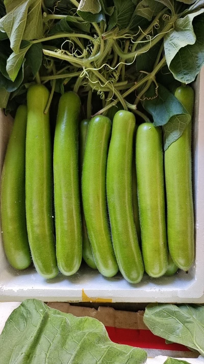 大量新货上市