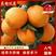 石门柑橘纽荷尔脐橙大量供应规格齐全可供商超量大优惠