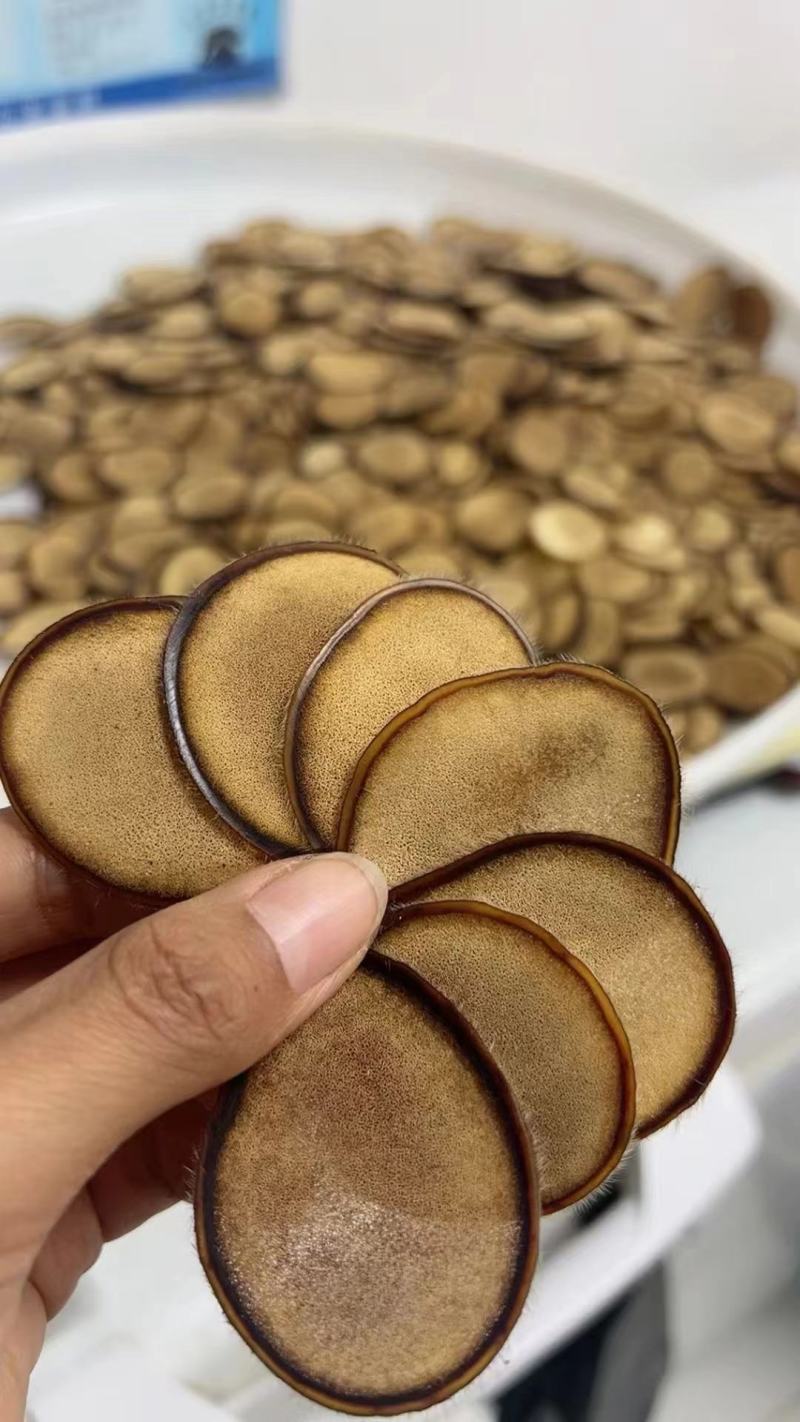 鹿角片批发一手货源厂家直发一件代发吉林双阳鹿场鹿茸片