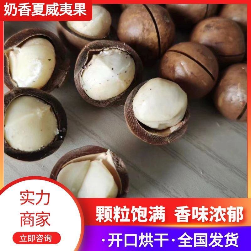 【精选】云南奶香味夏威夷果皮薄果仁香脆颗粒饱满量大价优