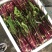 红菜苔湖北当阳红菜苔保质保量产地直发电商市场