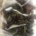 【实力推荐】河北精品巨峰葡萄大粒大串可下地看货