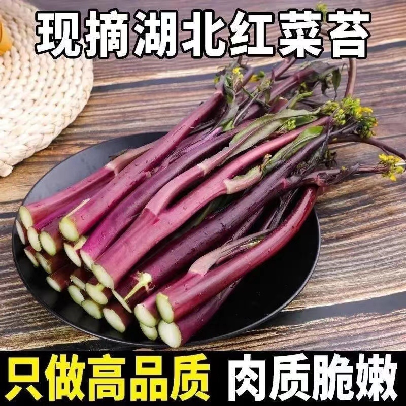 红菜苔湖北当阳红菜苔保质保量产地直发电商市场