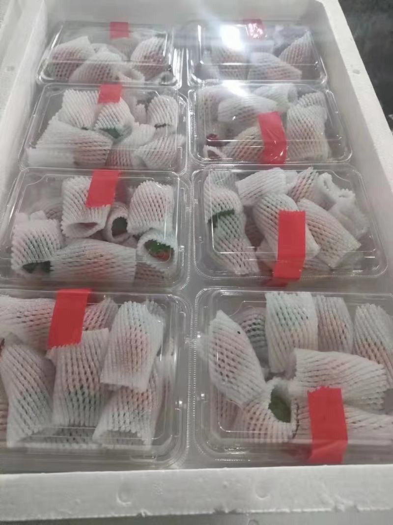 万亩奶油草莓基地！