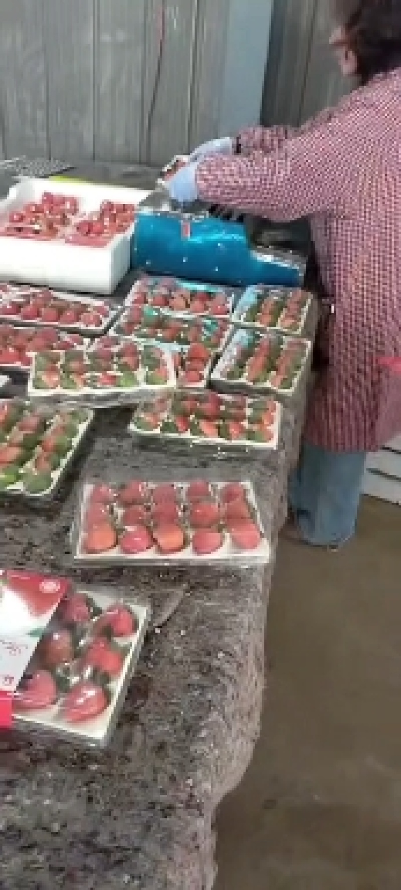 万亩奶油草莓基地！