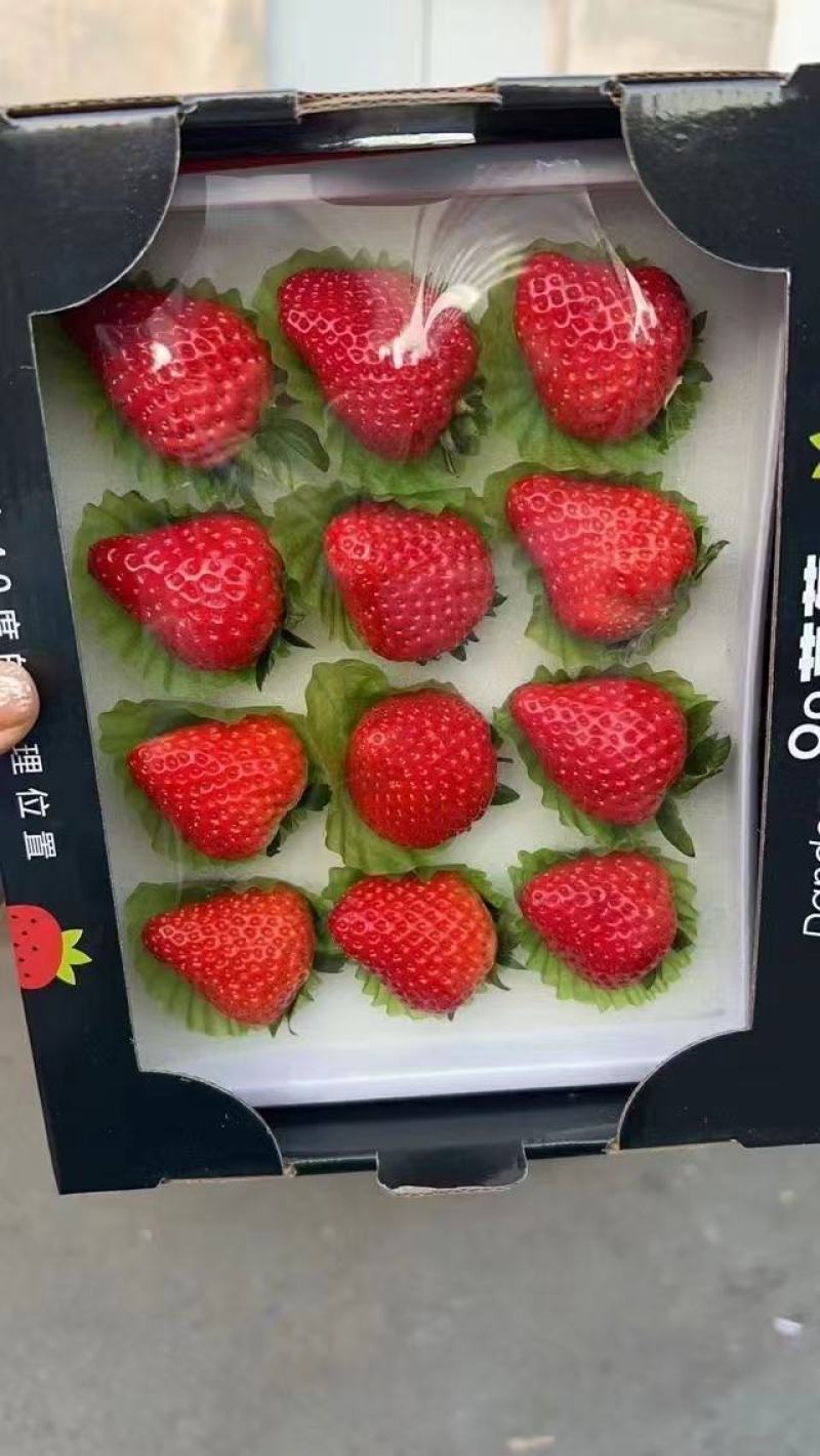 万亩奶油草莓基地！