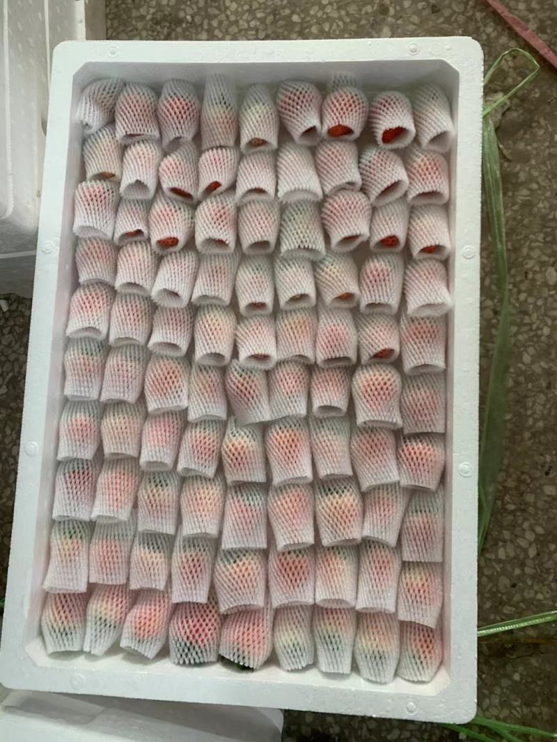 万亩奶油草莓基地！