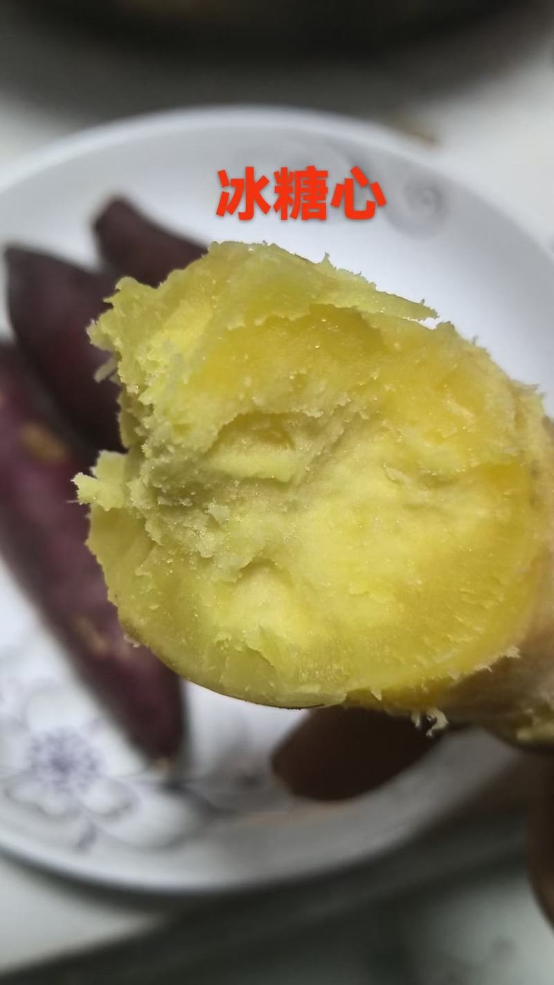 红黄金薯，窖藏货