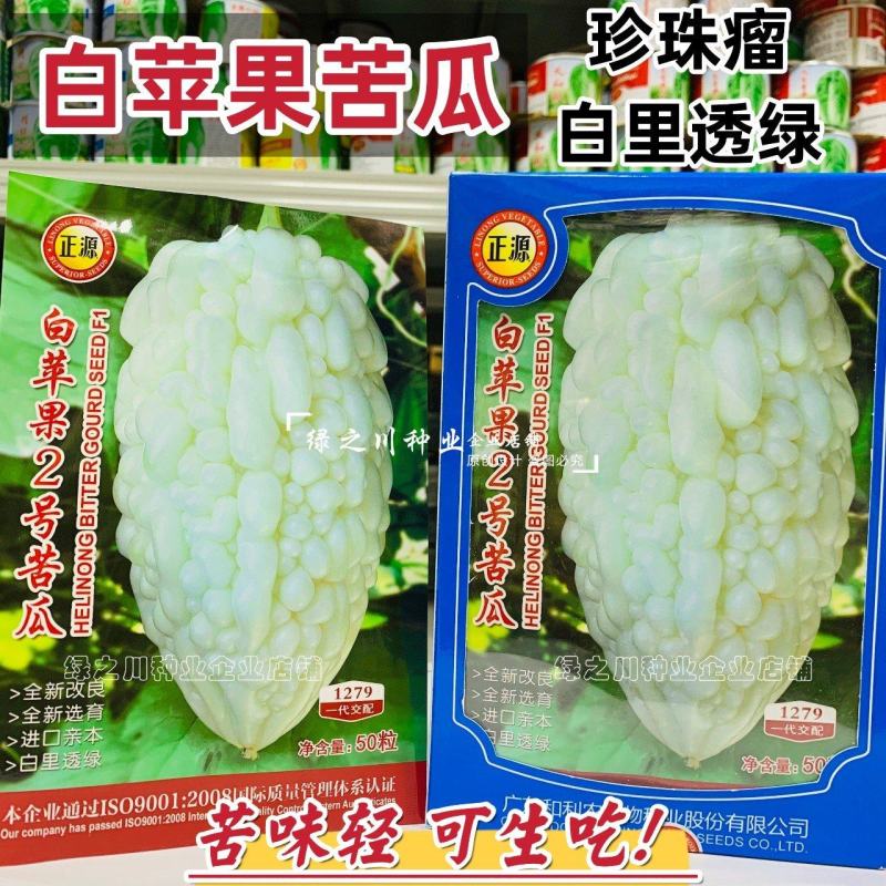 正源特色苦瓜品种白苹果2号苦瓜种子生吃白色苹果苦瓜种子