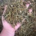 桑寄生寄生枫香寄生每个地方名字不同，按实物为准