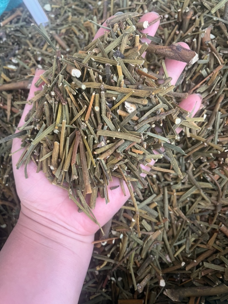 桑寄生寄生枫香寄生每个地方名字不同，按实物为准