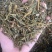 桑寄生寄生枫香寄生每个地方名字不同，按实物为准