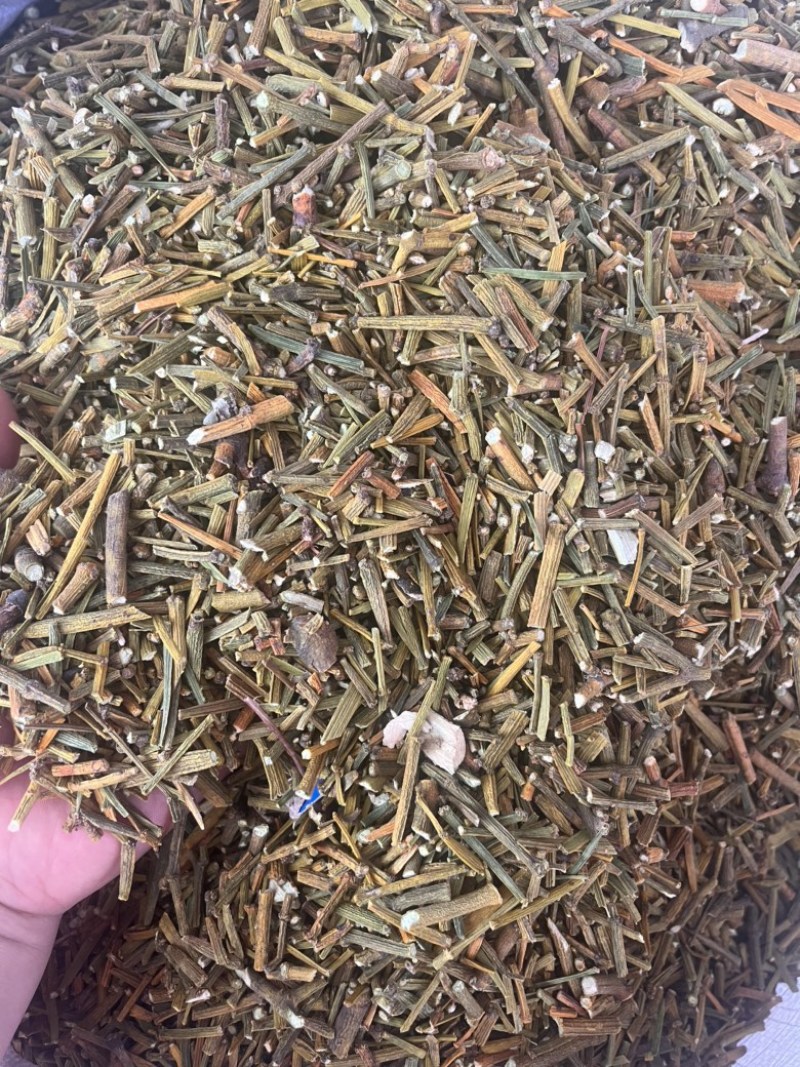 桑寄生寄生枫香寄生每个地方名字不同，按实物为准