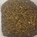 桑寄生寄生枫香寄生每个地方名字不同，按实物为准