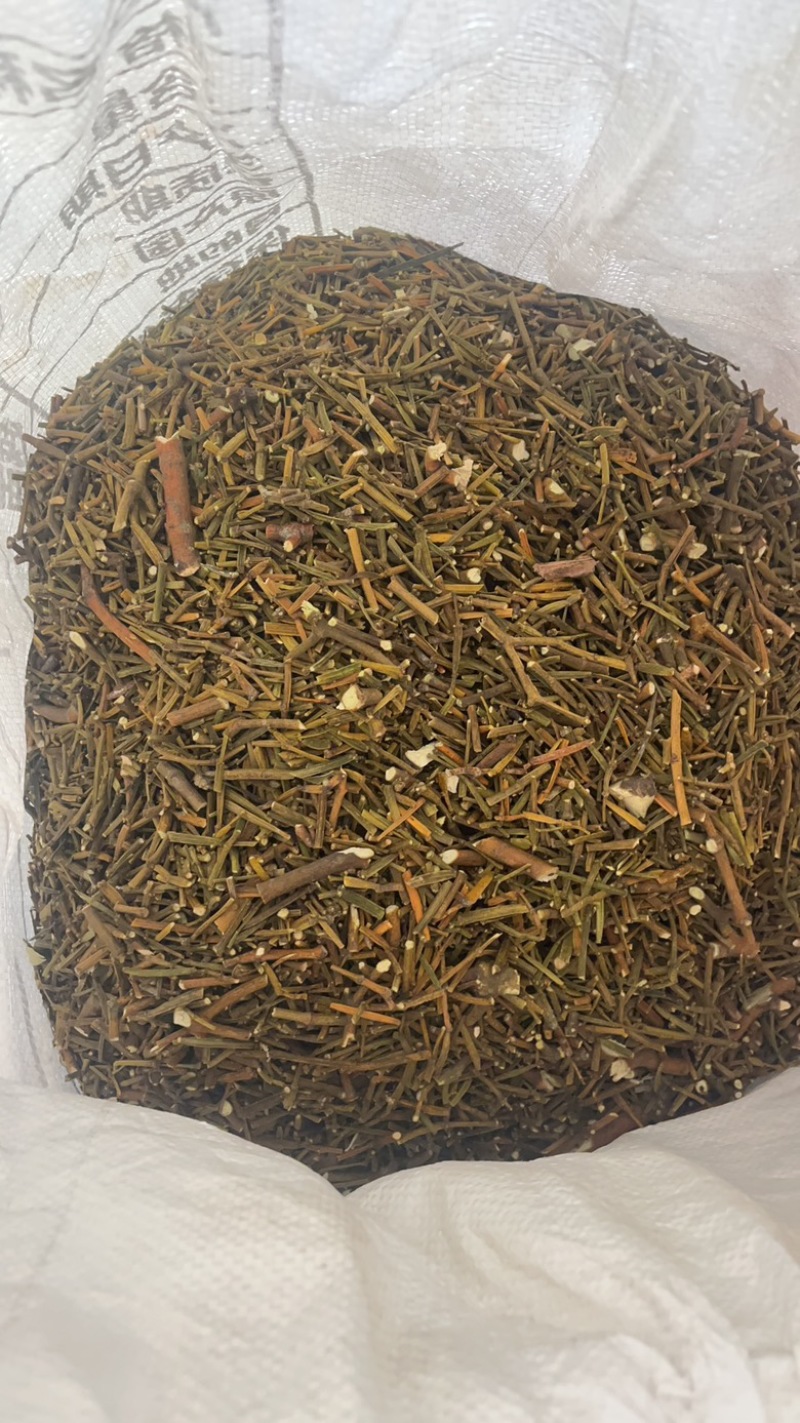 桑寄生寄生枫香寄生每个地方名字不同，按实物为准