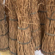 千斤拔千斤拔条扎巴千斤拔片小叶千斤拔