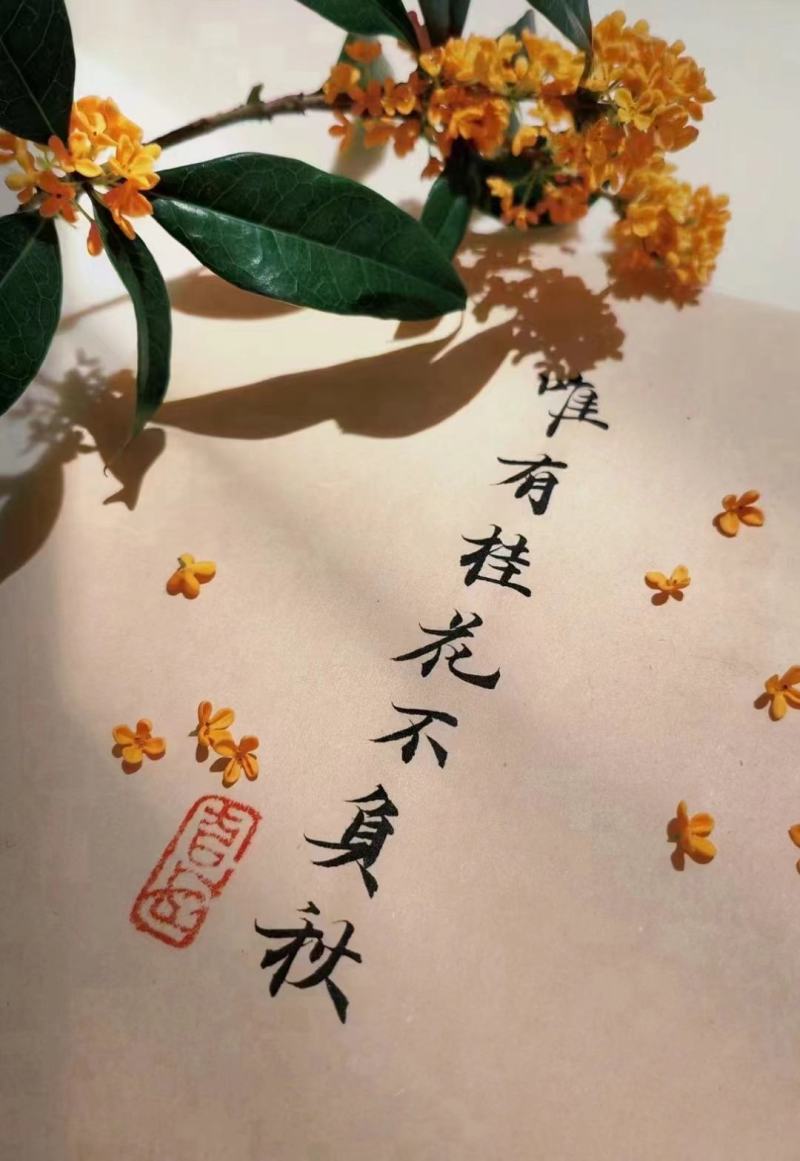 【专业批发】桂花红茶新茶正宗武夷花香正山小种红茶罐装